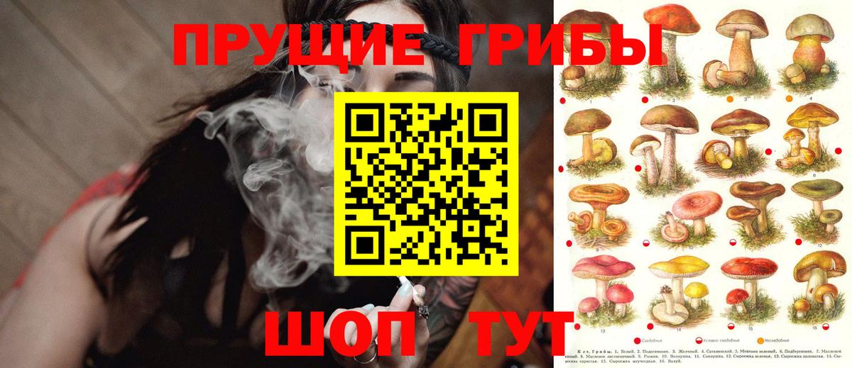 магазин продажи   Вход с VPN  Набережные Челны  Псилоцибиновые грибы Psilocybine cubensis 